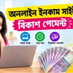 অনলাইন ইনকাম সাইট বিকাশ পেমেন্ট
